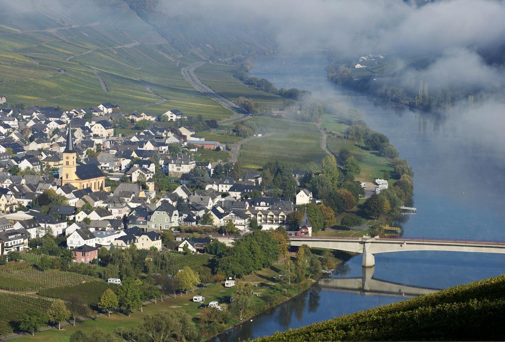 Weingut & Gaestehaus Edwin Hoffmann Trittenheim Eksteriør billede